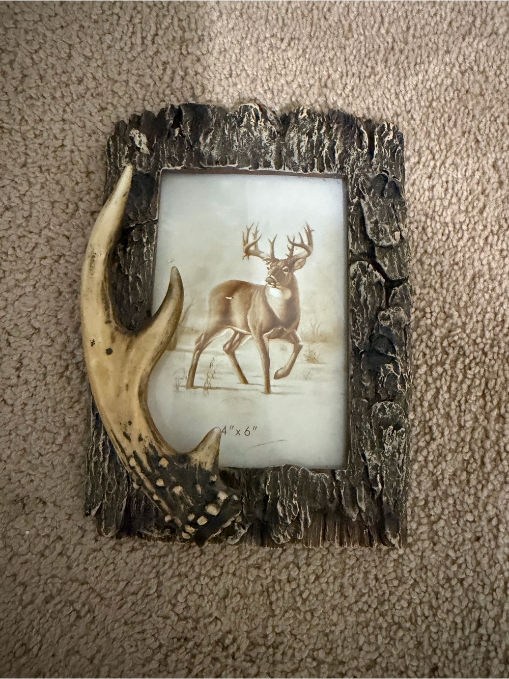 Rustic Antler Accent Frame - Brown and Cream